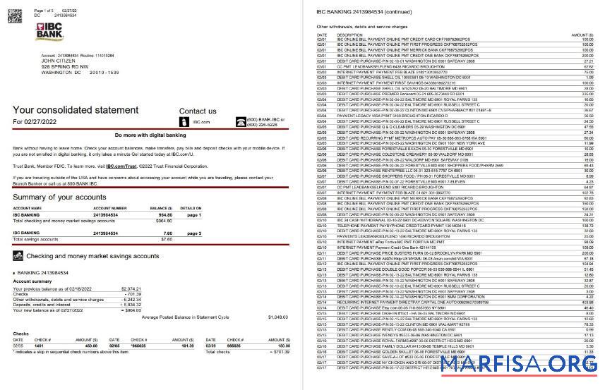 Printable USA IBC bank statement word 5 pages example
